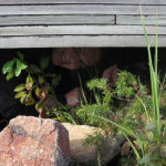 Outi-Maaria Palo-oja kurkistaa talon alta
